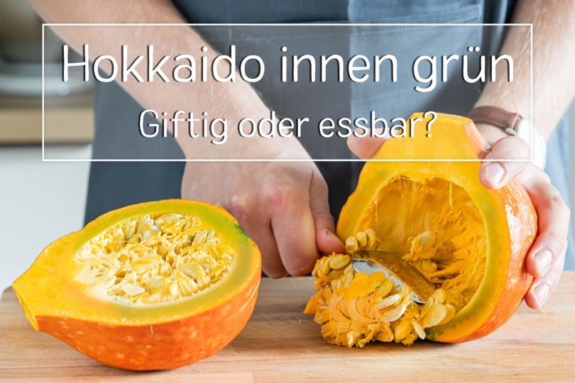 Hokkaido innen grün - Titel