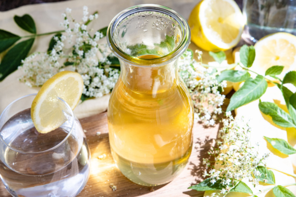 Holunderblütensirup selber machen