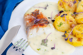 Kabeljau im Backofen mit Senfsauce