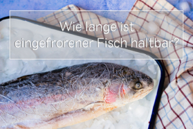 Magazinbeitrag: Wie lang ist eingefrorener Fisch haltbar